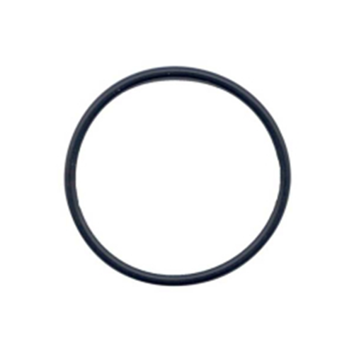 O-RING, TAILCAP - POLYSTINGER-