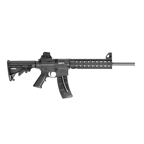 Smith & Wesson MP15-22